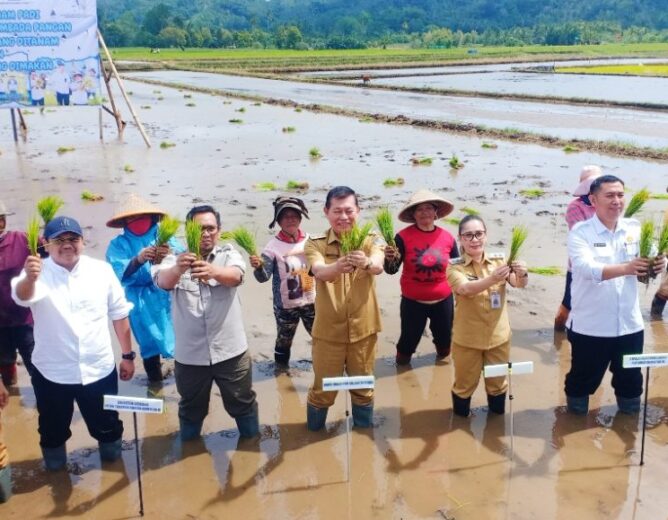 Wabup Vanda Sarundajang Dampingi Wagub Sulut Victor Mailangkay Hadiri Gerakan Tanam Padi di Desa Touliang Kakas